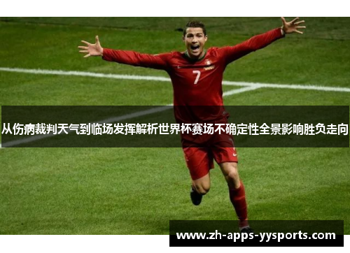 从伤病裁判天气到临场发挥解析世界杯赛场不确定性全景影响胜负走向