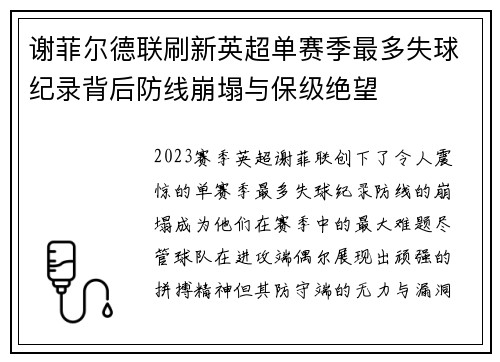 谢菲尔德联刷新英超单赛季最多失球纪录背后防线崩塌与保级绝望 谢菲尔德联刷新英超单赛季最多失球纪录背后防线崩塌与保级绝望